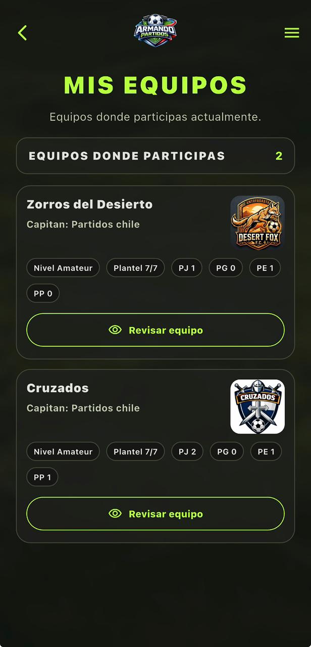 Perfil de Equipo